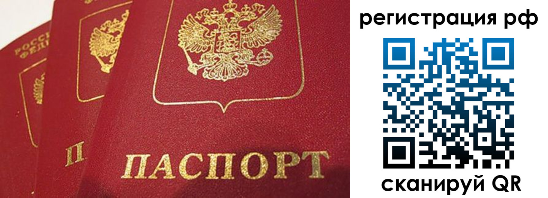 прописка в квартире в Реже
